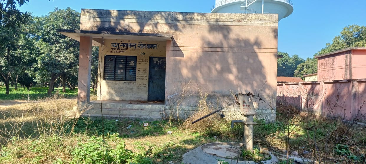 animal health center turned into ruins