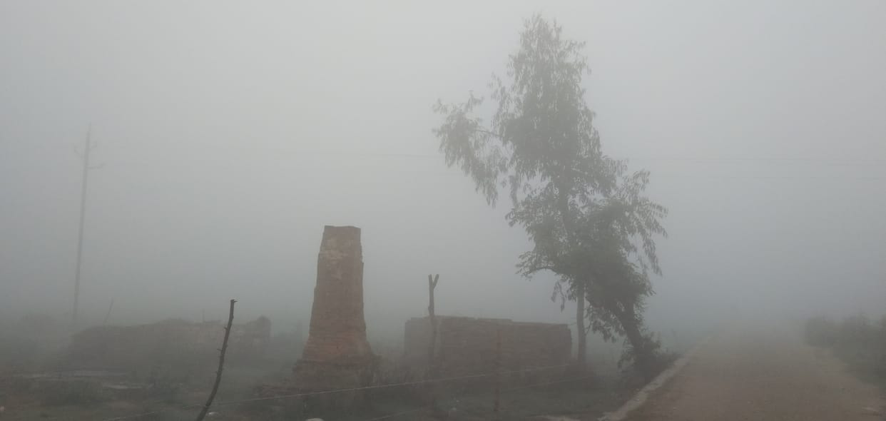 Cold increased due to fog in Kalagarh
