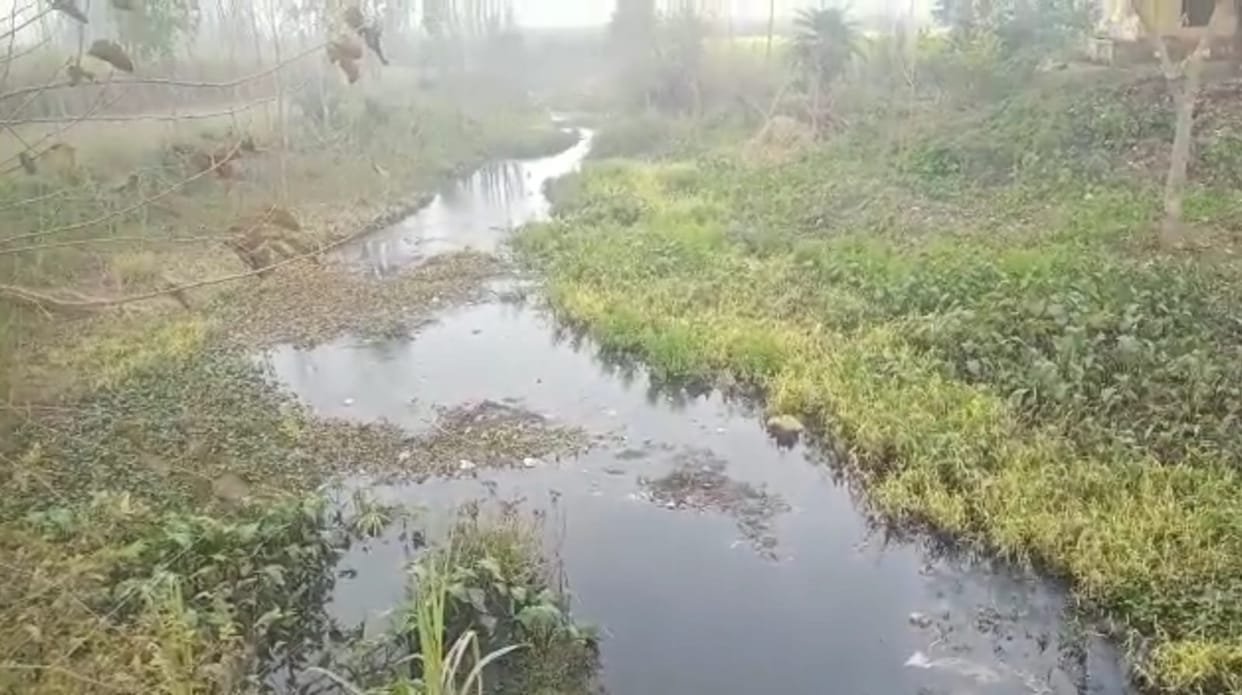 More than 350 people died of cancer, villagers leaving the village
