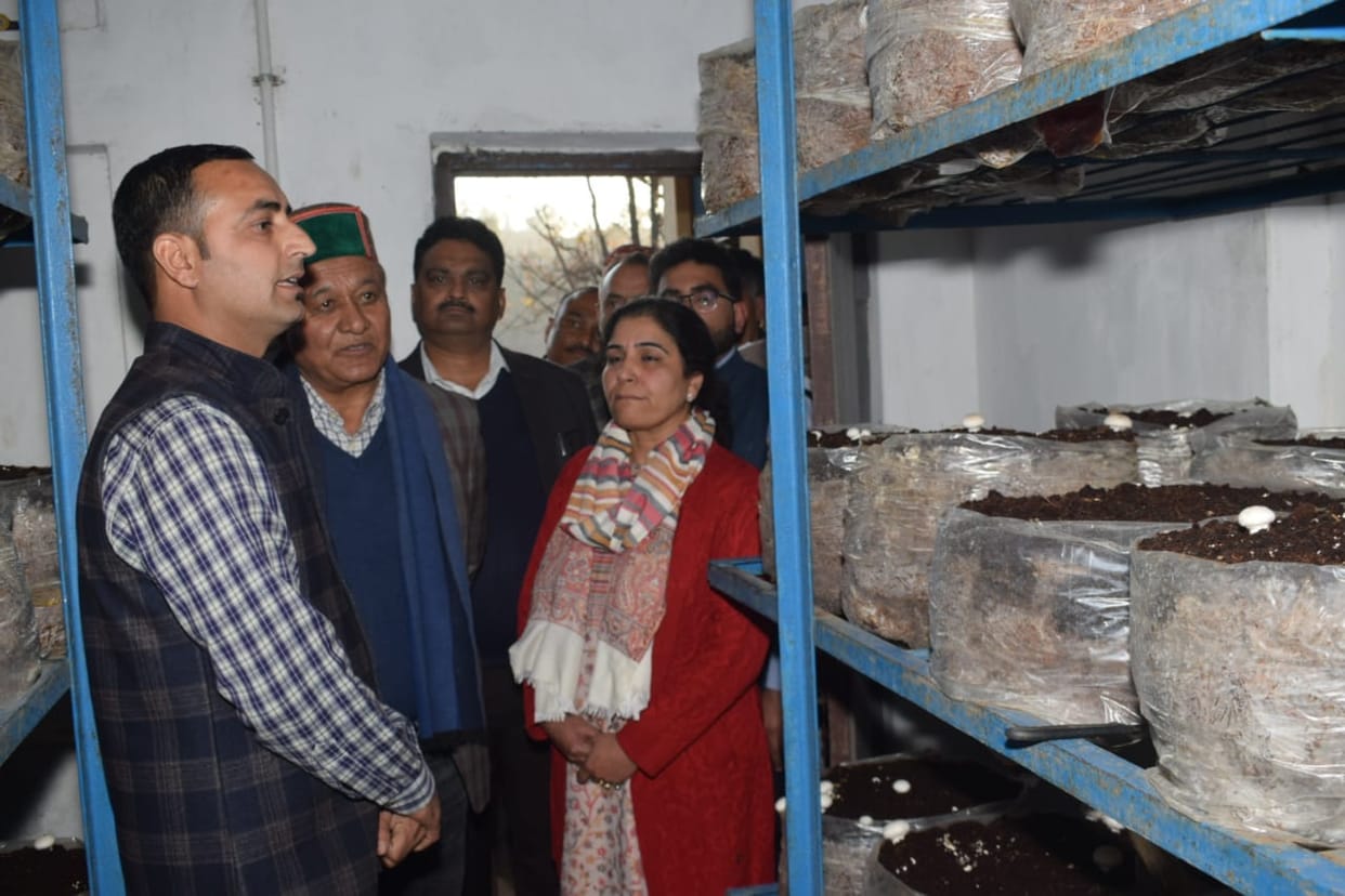 After restoring the old pension, the government will raise new resources to give it