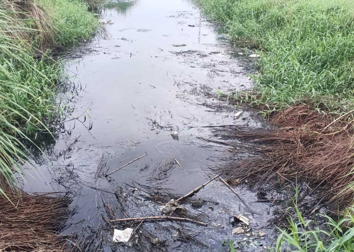 Dirty water coming out of Malkapur Mill became a curse for the villagers