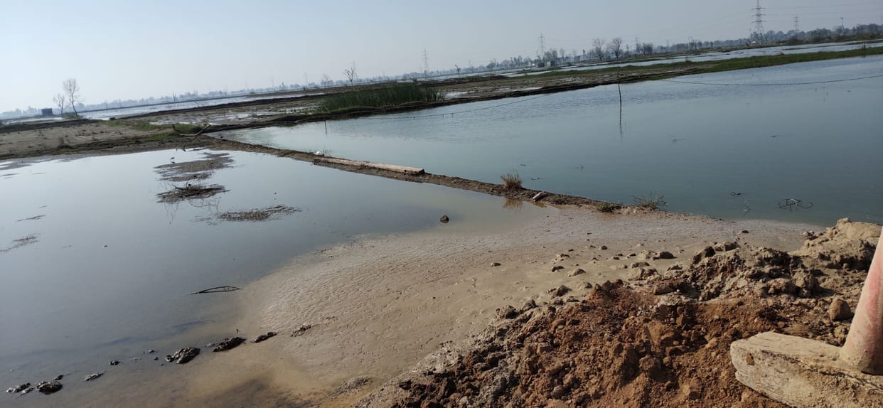 107 acres of land remains vacant in Bhimewala, no sowing done