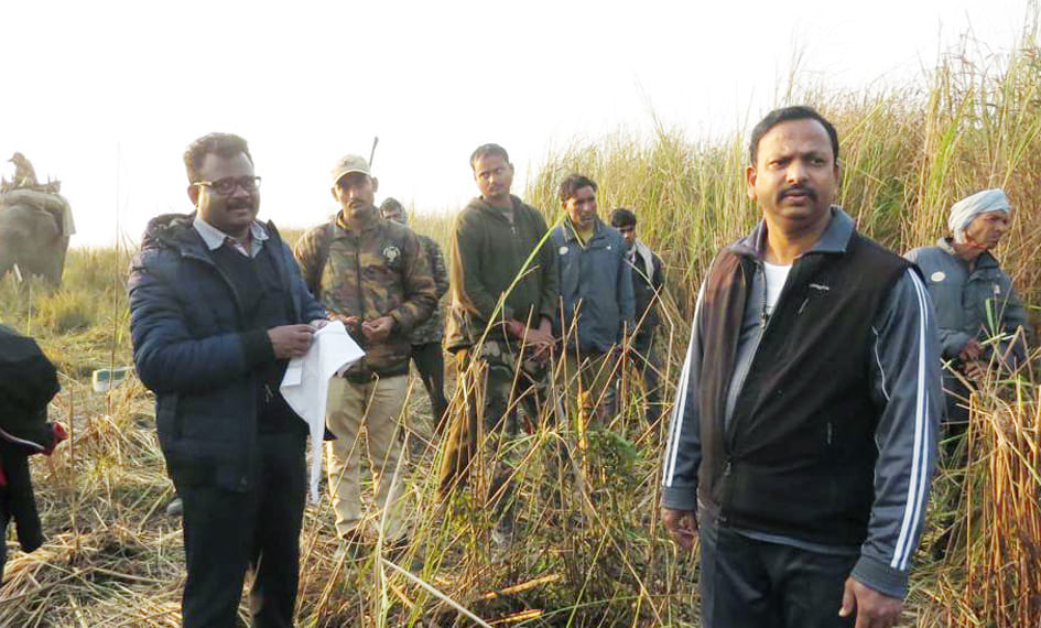 Tigress and three cubs captured in camera