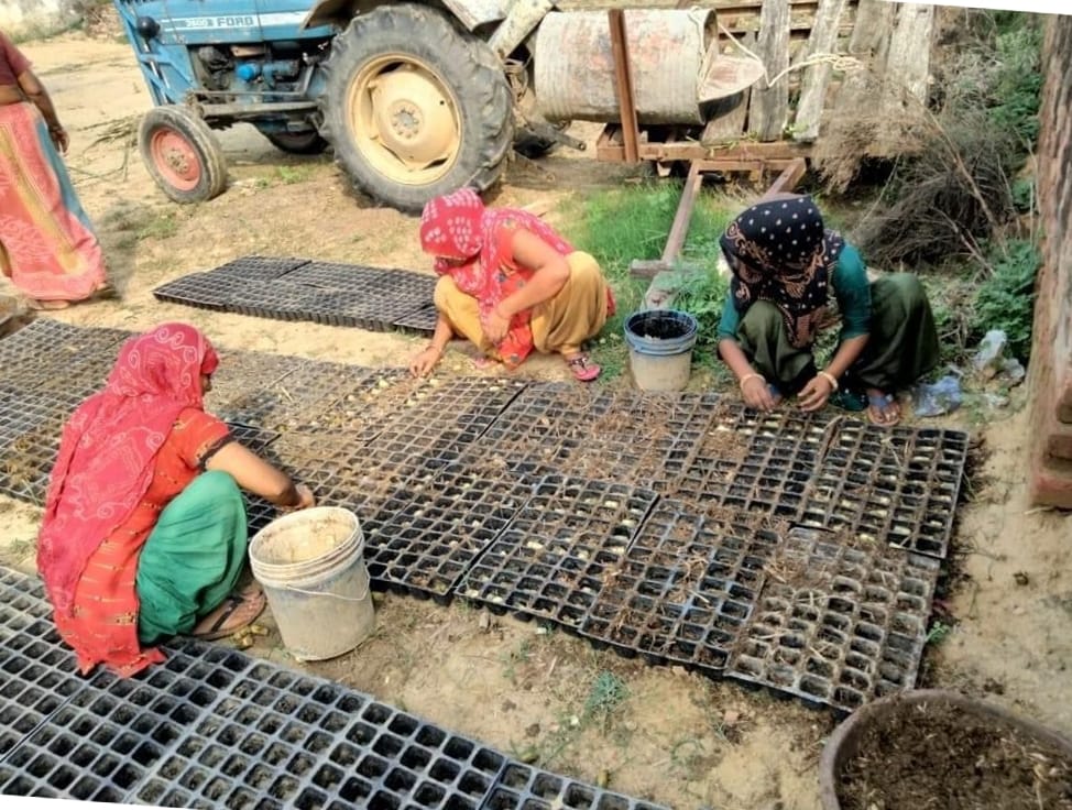 Women's group will prepare 120 lakh sugarcane plants