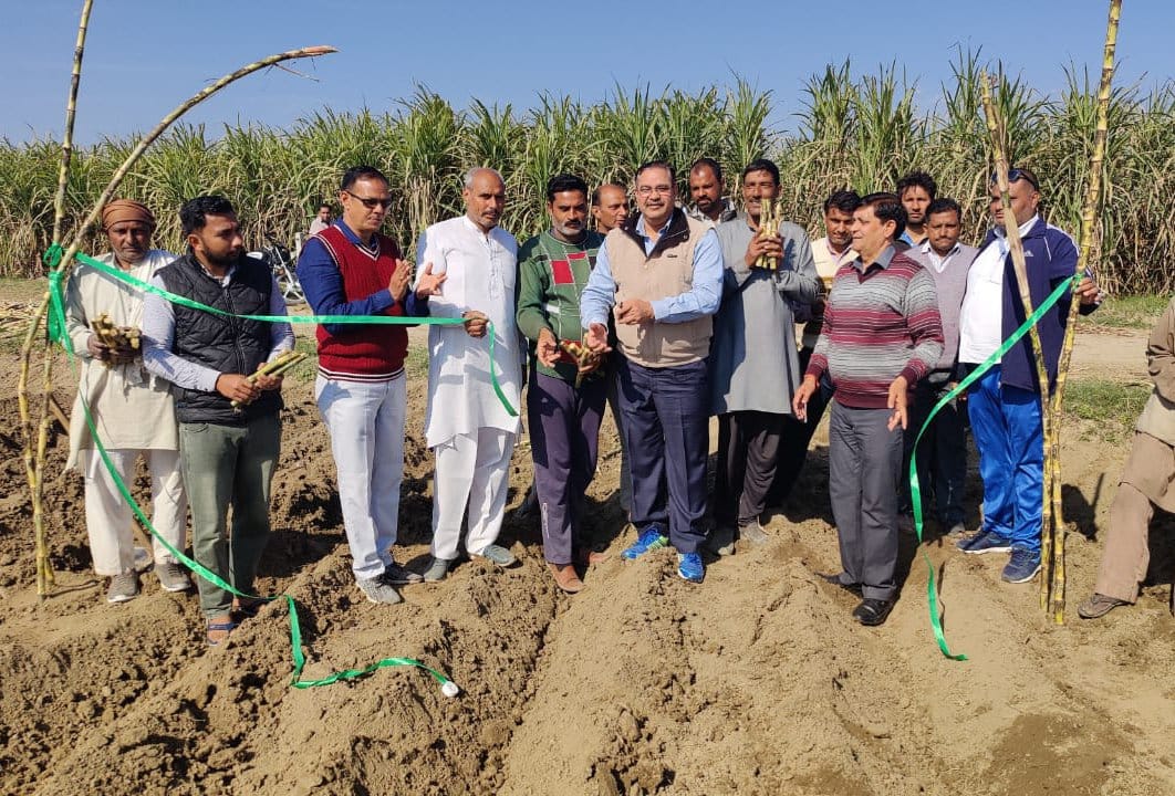 Farmers sow progressive varieties