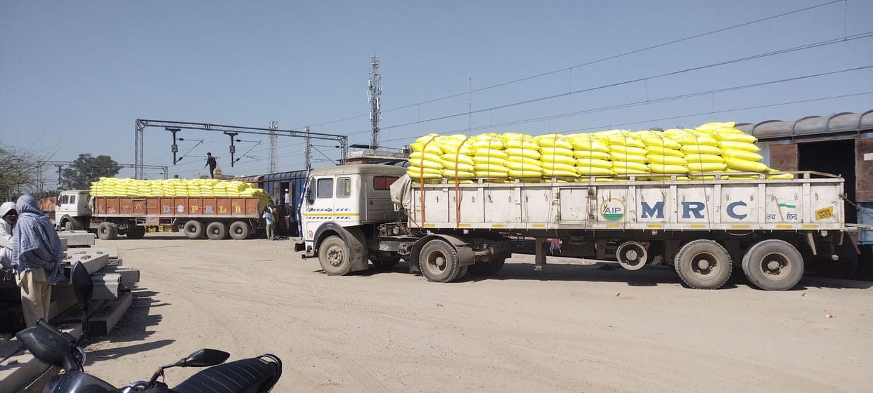 crop on verge of ripening now 30 thousand bags of manure arrived in jind