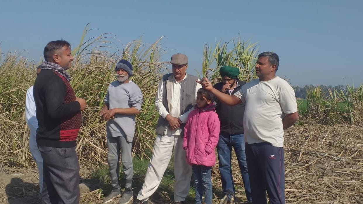 farmers are improving health of people by preparing organic jaggery earning lakhs of rupees