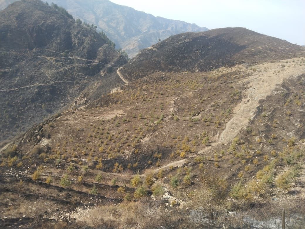 fire case in balsan dhagagi, one women singe