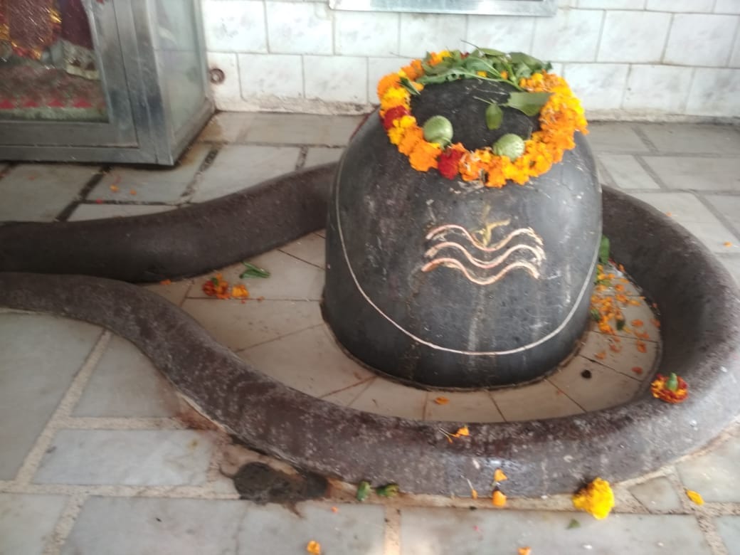 Rare Shiva Shakti Sanyog is being made after 150 years on Mahashivratri