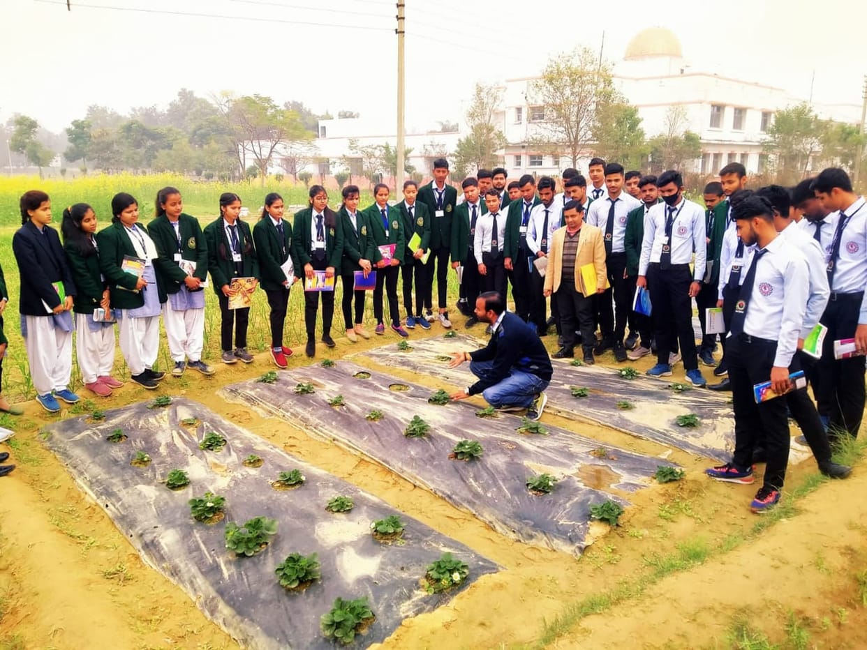 Agriculture students will learn strawberry farming