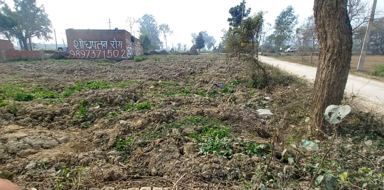 sold pond soil
