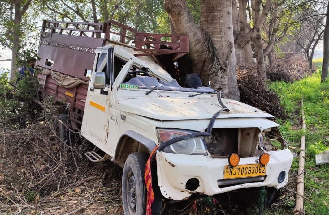 Pickup vehicle collided with tree, two buffaloes and two cattle died