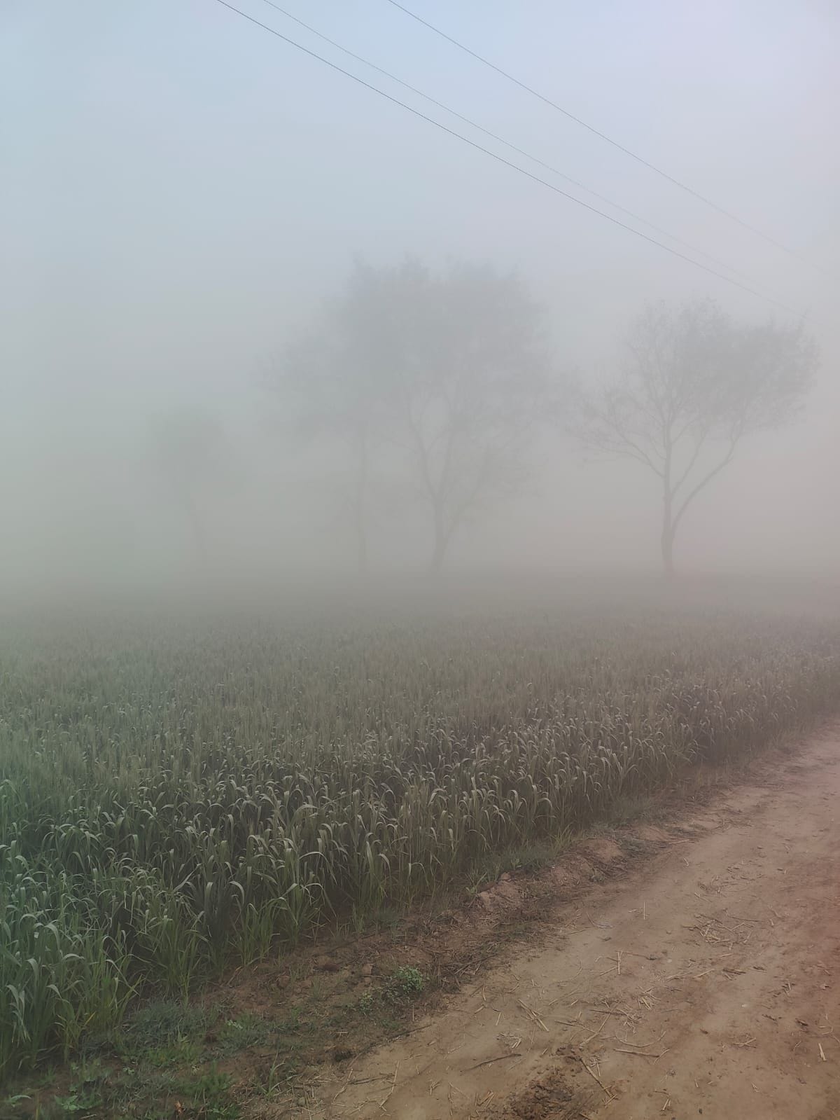After six days, Fatehabad again faces 20-metre visibility