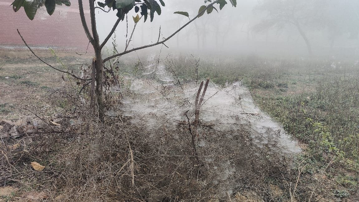 The weather pattern changed again, fog covered