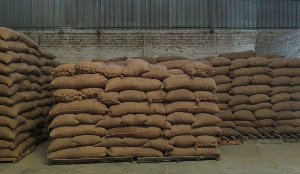 Paddy worth lakhs stolen from Parag Seeds