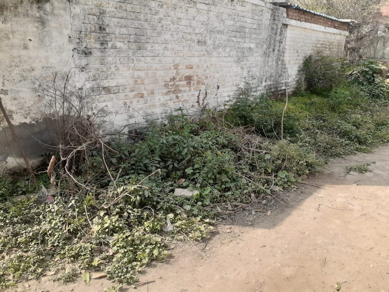 long bush is the identity of railway colony