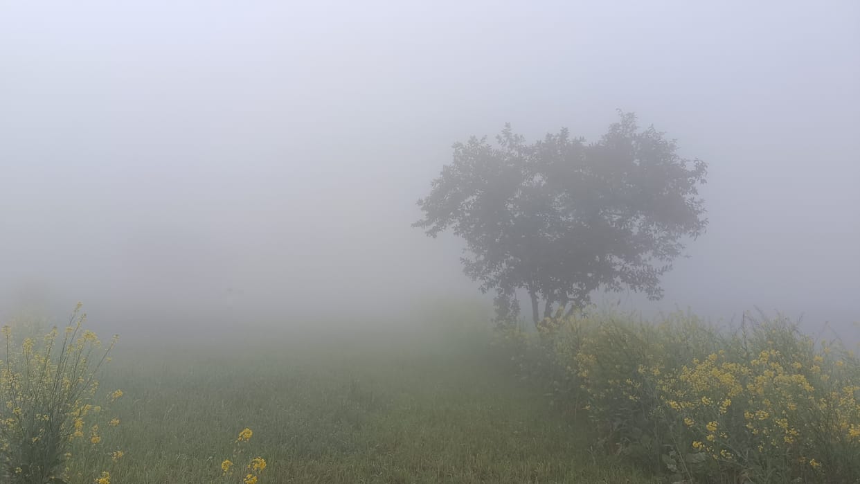 Weather: Fog in the morning, sunny in the afternoon, cloudy in the evening