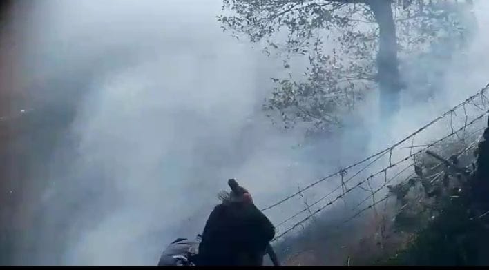 The forest of Leeti Van Panchayat has been burning for two days