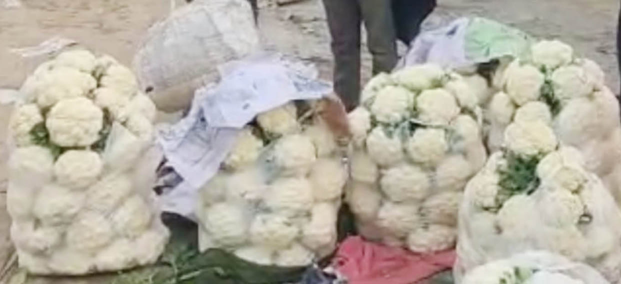 Recession hits cabbage, buyers are not available in the market