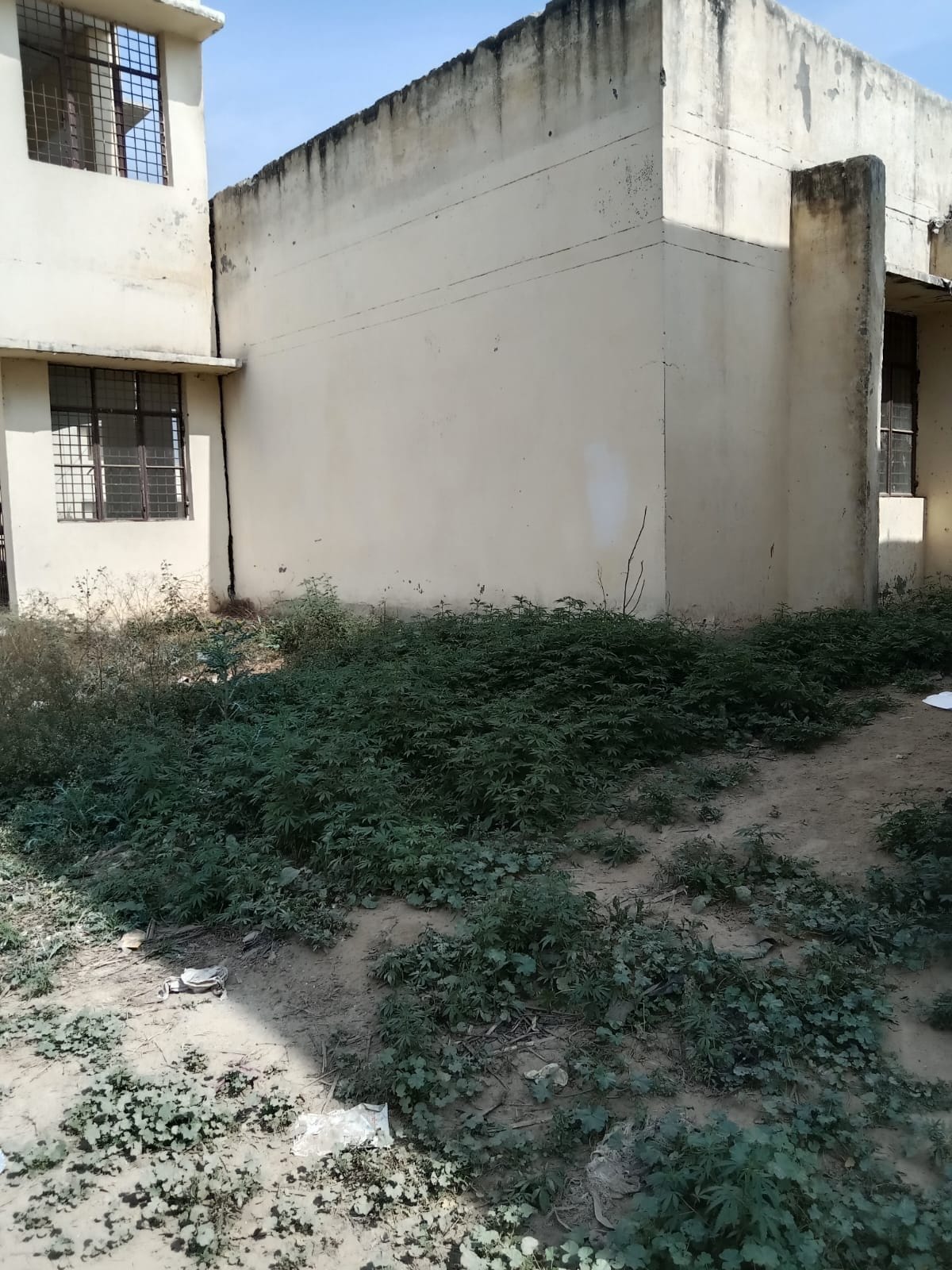 Mukari's model school is in bad shape due to non-creation of posts
