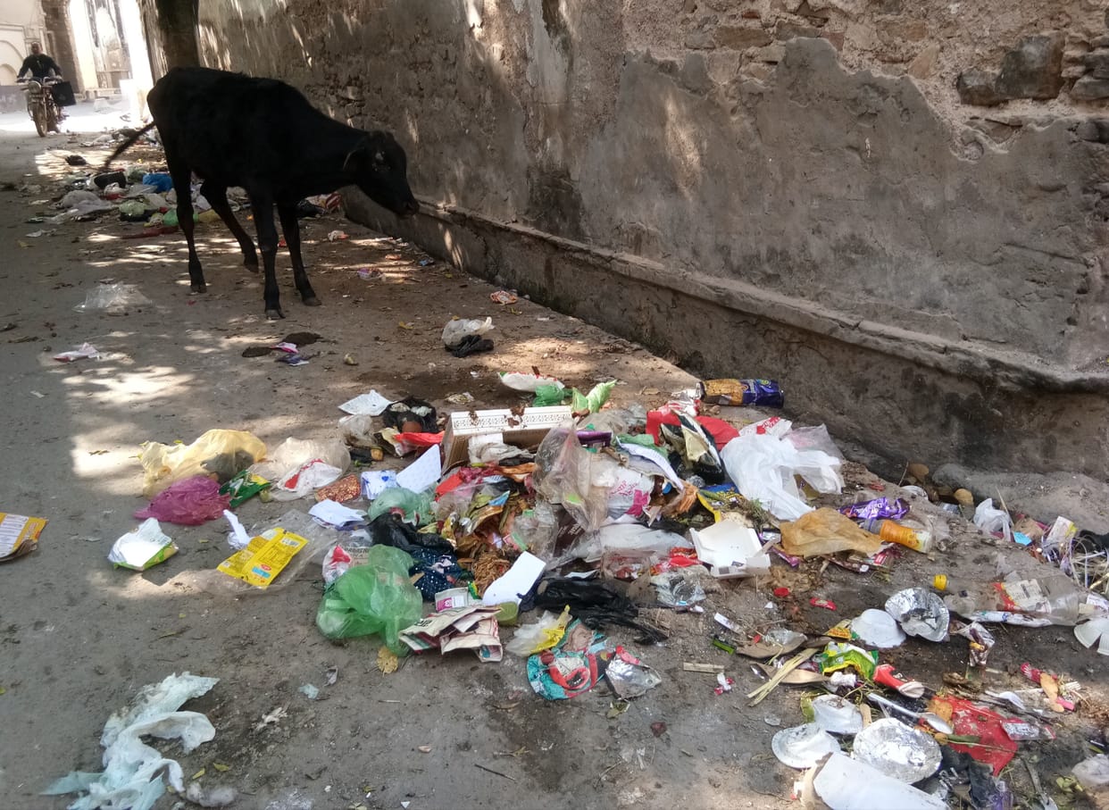 how will narnaul city be cleaned contractor neither tagged nor installed  entire vehicle