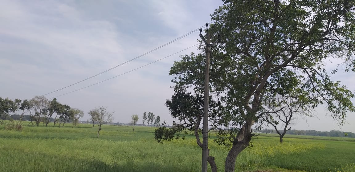 Dilapidated wires are falling on the wishes of the farmers