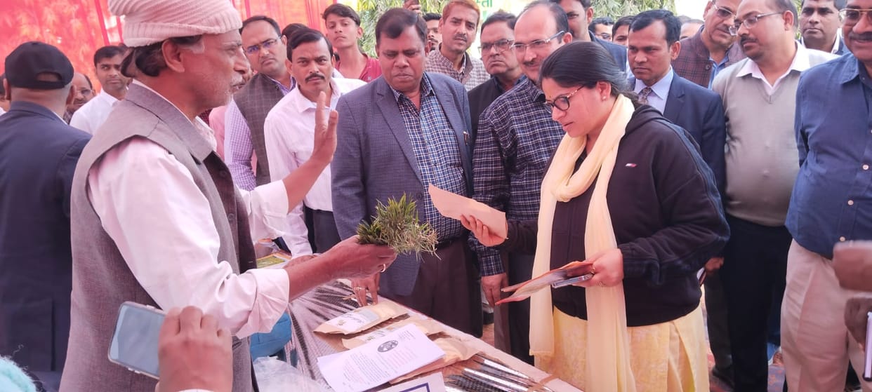 agriculture sector information