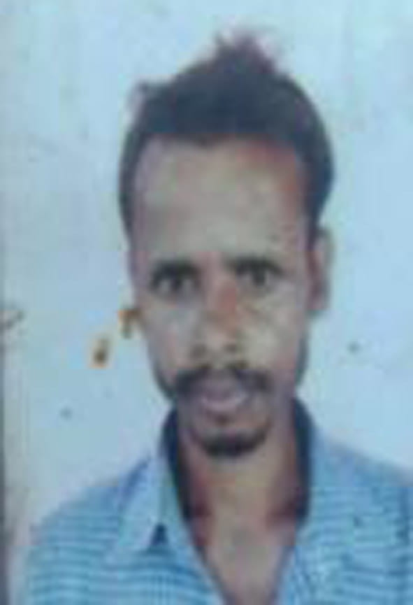 Elephants killed a young man who went to thresh paddy