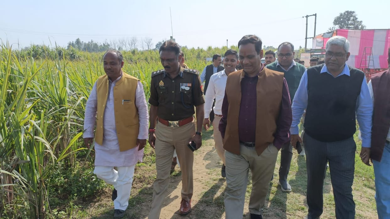 Farmers grow crops according to market demand by organic method