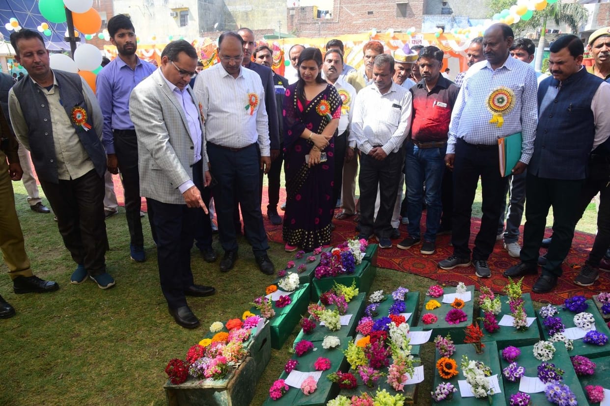 Farmers should grow vegetables, fruits and flowers