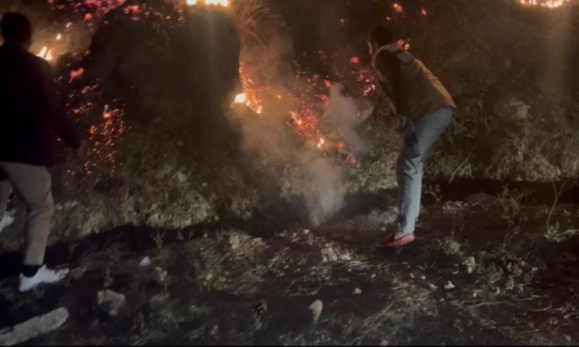 Fire in jungle. team reached.