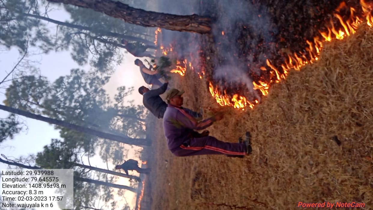 The forests of Baijnath and Gadkhet range blazed with fire
