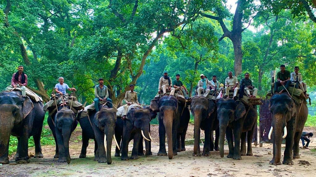 Elephants will be monitored in Dudhwa National Park, poachers will be tightened