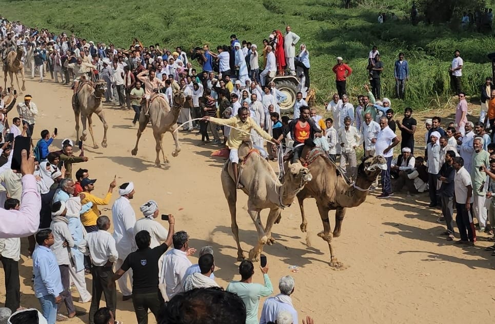 Everyone liked Gulab Singh's mare and camel dance.