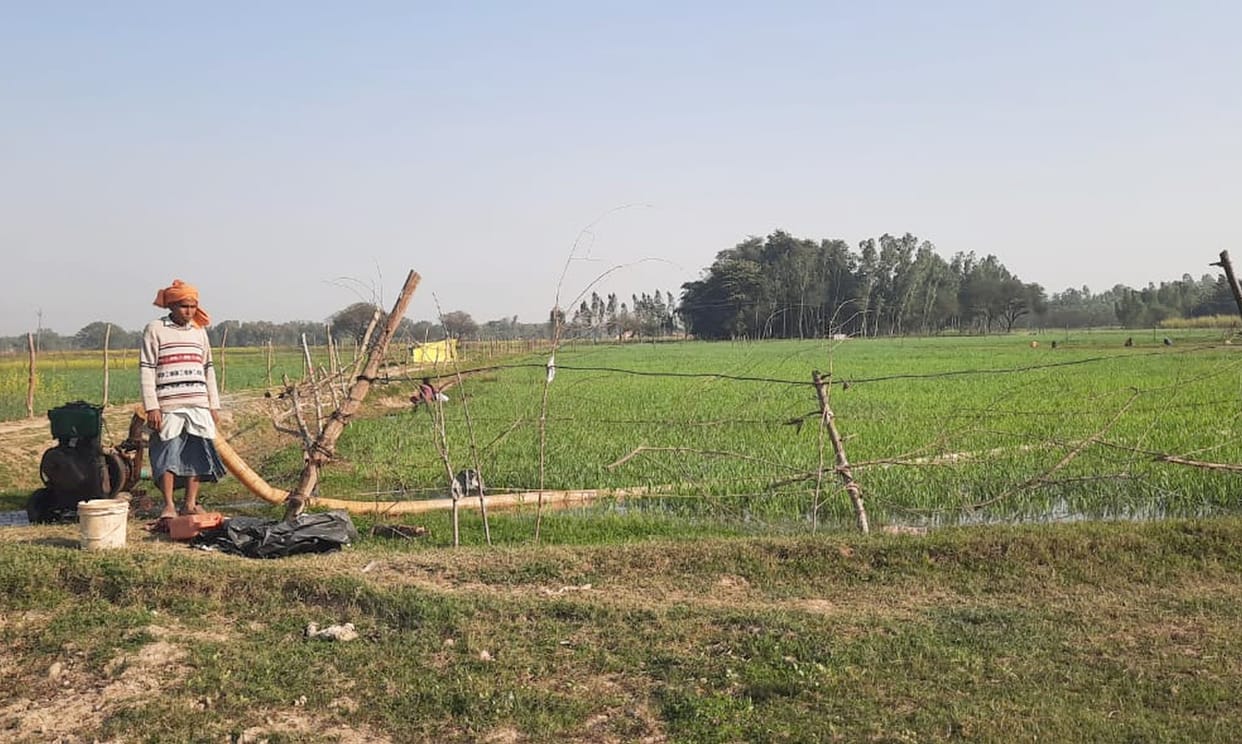The effect of increased temperature on agriculture