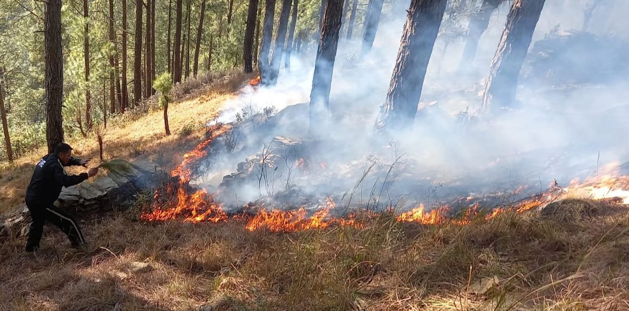 Fire in Lohaghat Forest