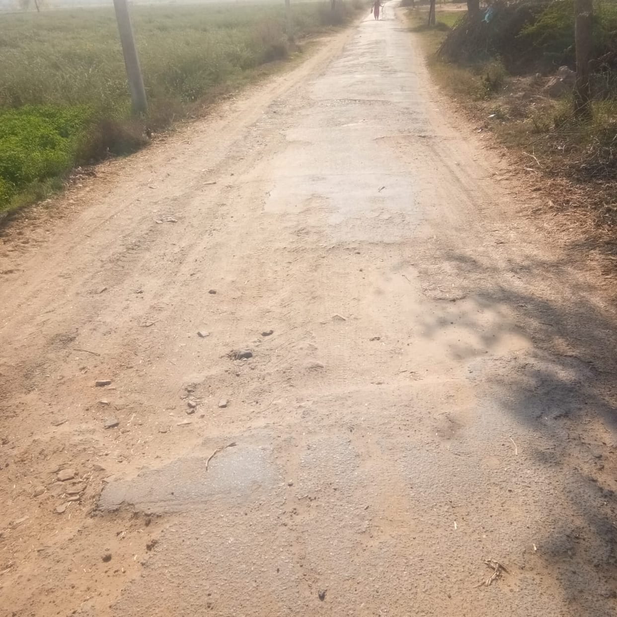 Emphasis on e-tendering, Panchayati Raj Department weak