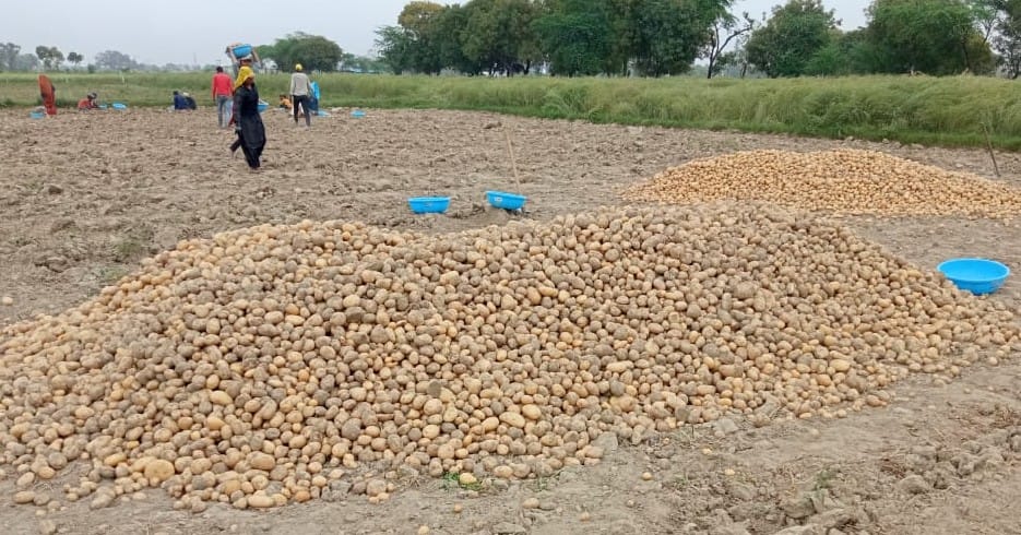 The heart of the farmers got scared due to the slow injury of the drops.