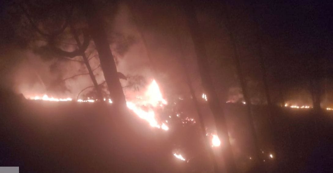 Forest Fire in Almora And Bageshwar