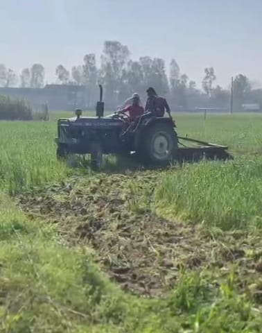 Farmer plowed seven bigha wheat crop in Ganj Daranagar