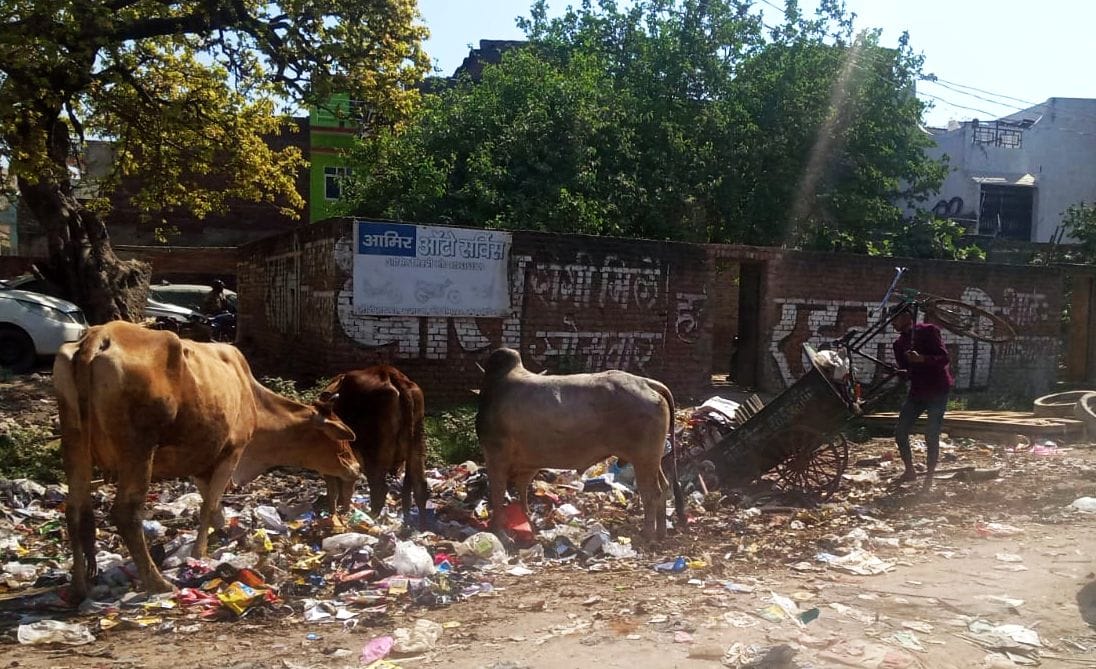 150 tons of garbage coming out daily from cleaning houses on Holi, roads become dump houses