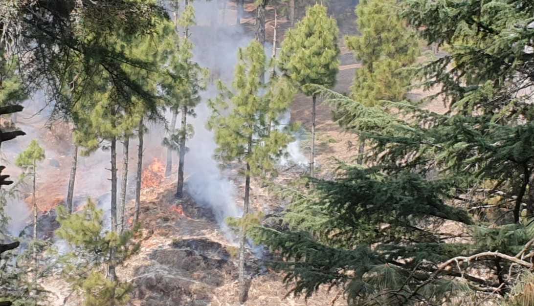 A fire broke out in the forest of Pathana
