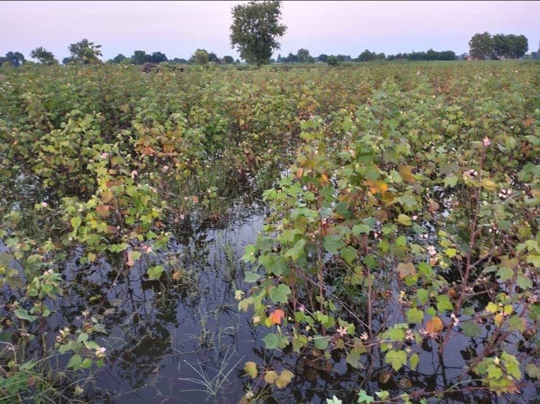 Pipelines will be laid to deal with waterlogging in villages