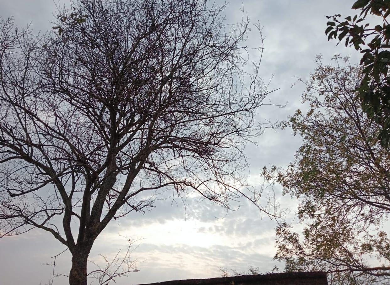 Clouds guarding the morning sun