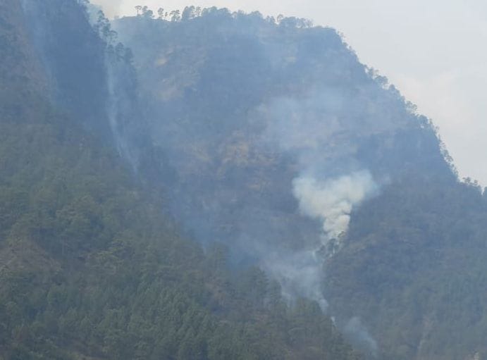 Fire in jungle in almora
