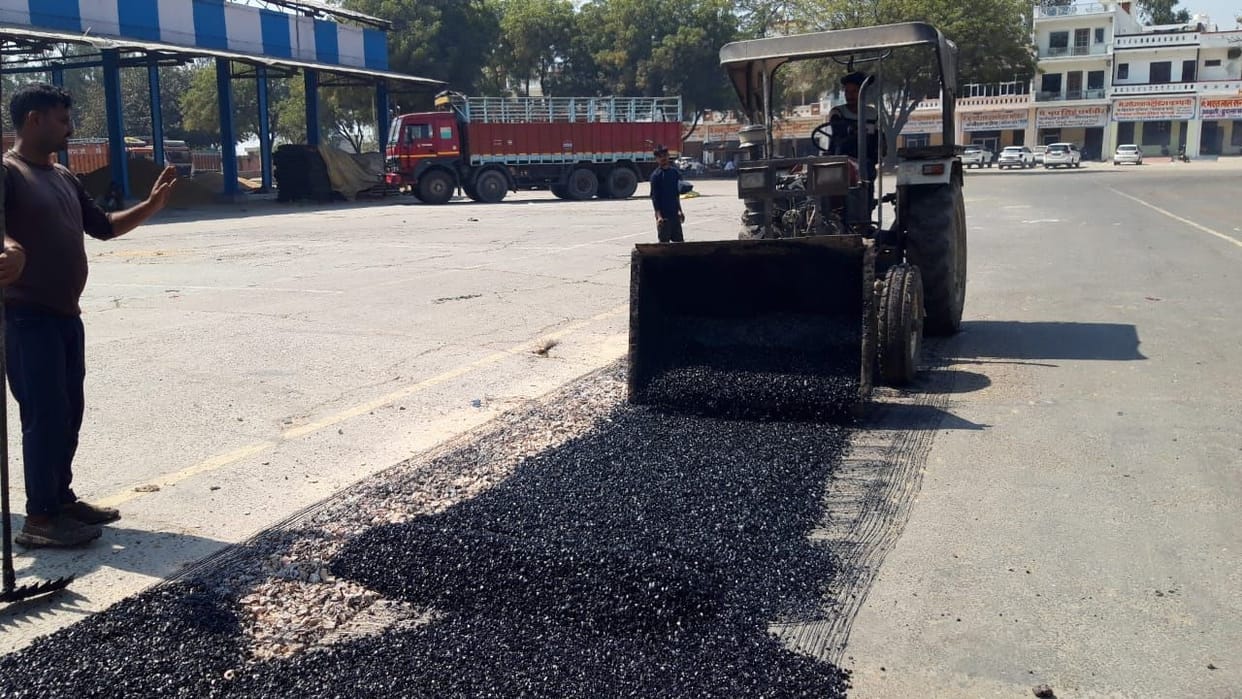 Government procurement of mustard from 15, preparations incomplete
