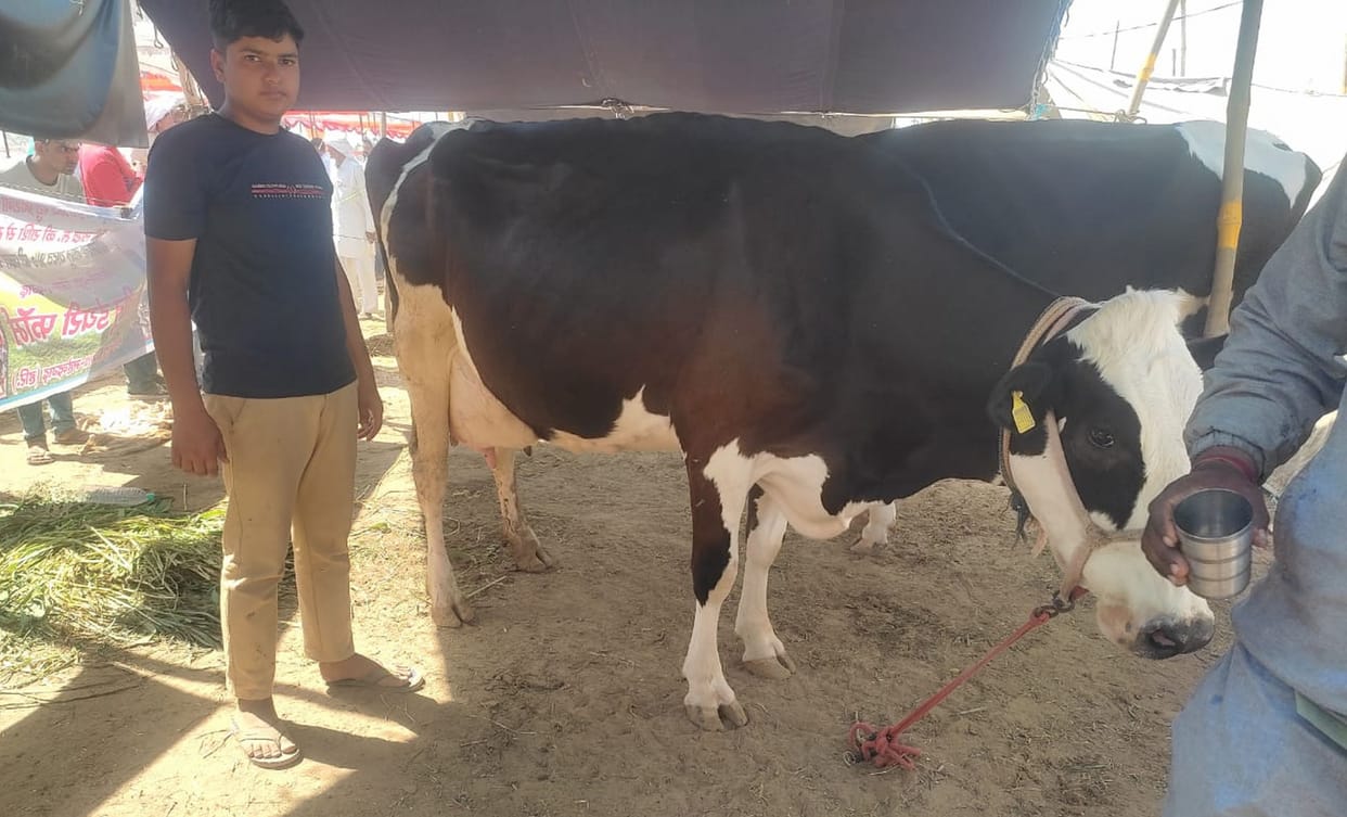Neetu showed the way of self-employment to the youth by setting up a farm of 200 cows from 5 heifers
