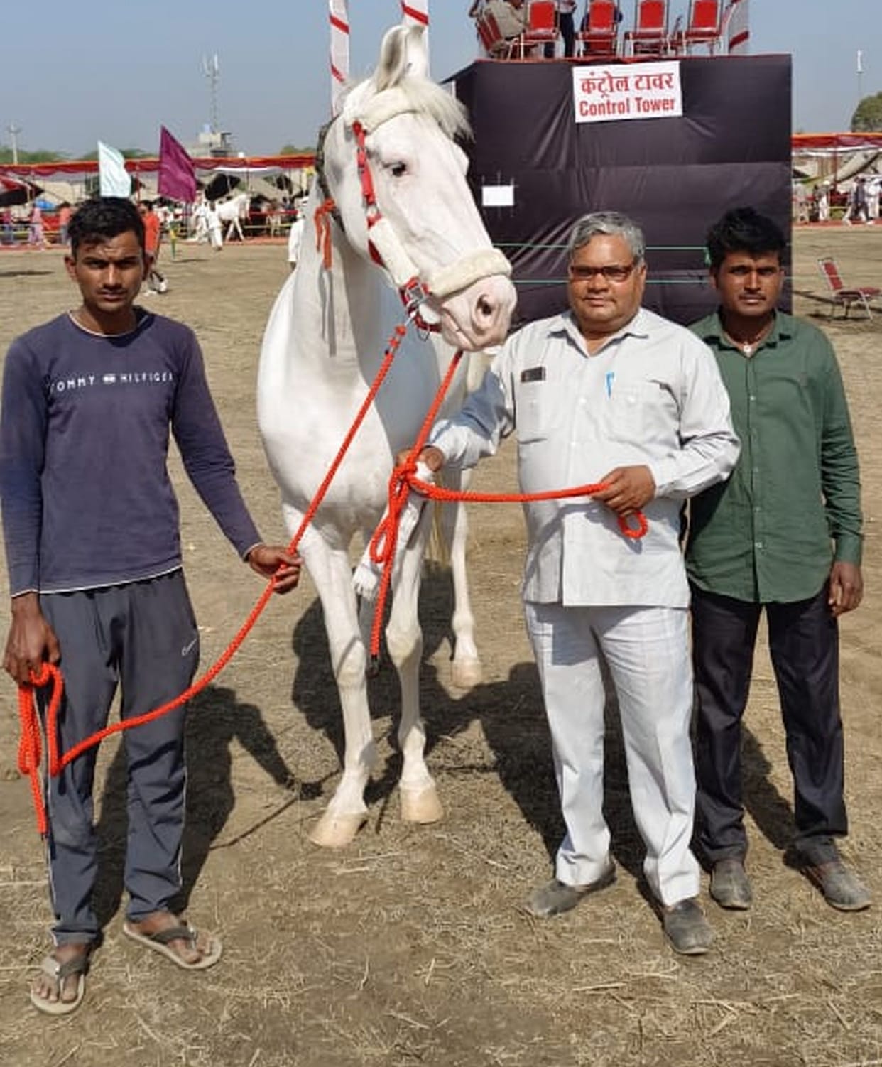 Four-year-old Marwari mare Rani became the center of attraction