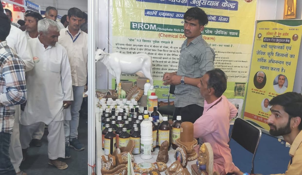 Cow dung and urine can also become a source of income