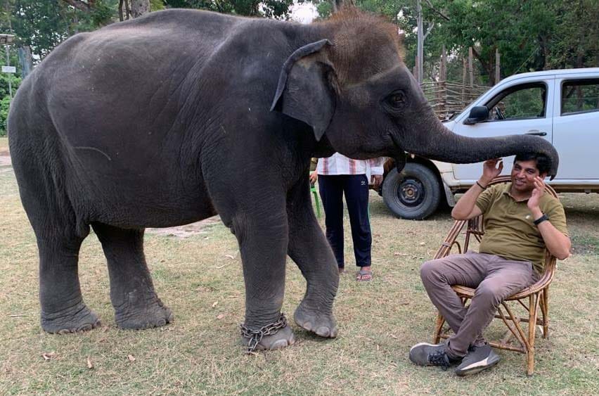 The story of Dudhwa's Durga is like Raghu Hathi of the Oscar-winning film The Elephant Whispers